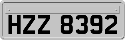 HZZ8392
