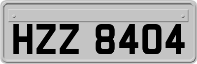 HZZ8404