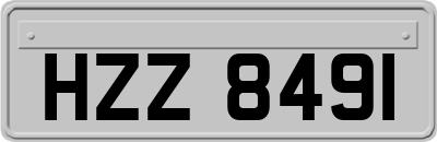 HZZ8491