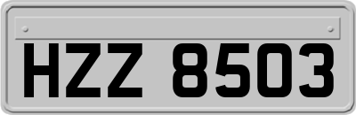 HZZ8503