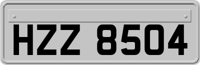 HZZ8504
