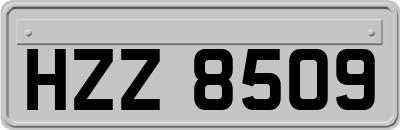 HZZ8509