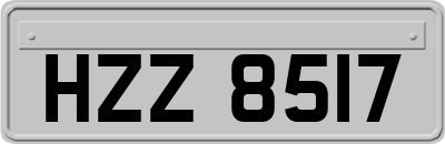 HZZ8517