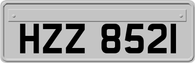 HZZ8521