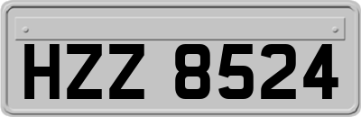 HZZ8524