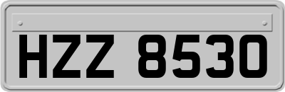 HZZ8530
