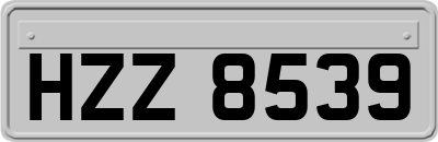HZZ8539