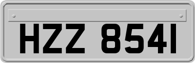 HZZ8541
