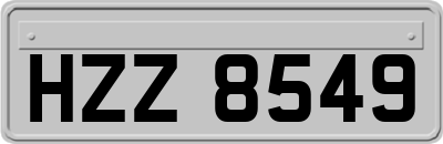 HZZ8549