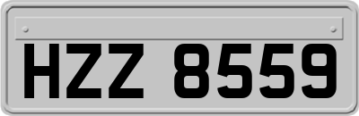 HZZ8559