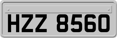 HZZ8560