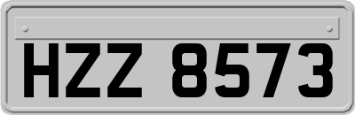 HZZ8573