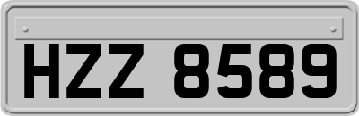 HZZ8589