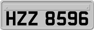 HZZ8596