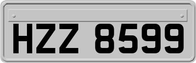 HZZ8599