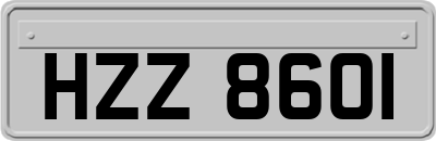 HZZ8601