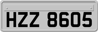 HZZ8605