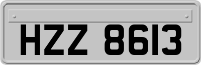 HZZ8613