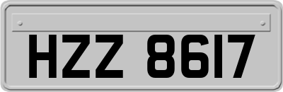 HZZ8617
