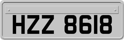 HZZ8618