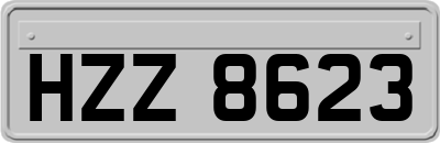 HZZ8623