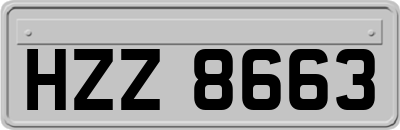 HZZ8663