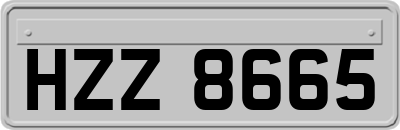 HZZ8665