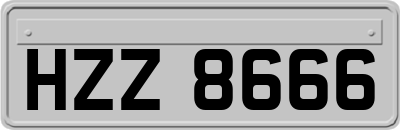 HZZ8666