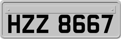 HZZ8667