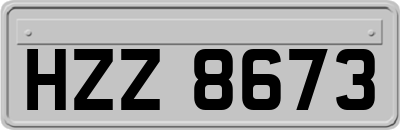 HZZ8673