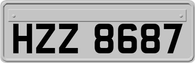 HZZ8687