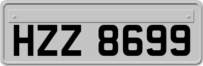 HZZ8699