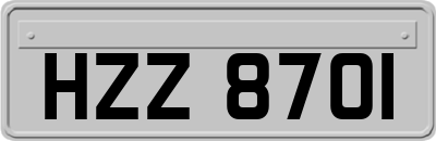 HZZ8701