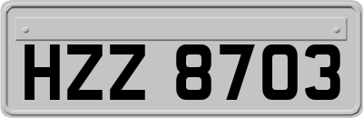 HZZ8703