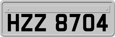 HZZ8704