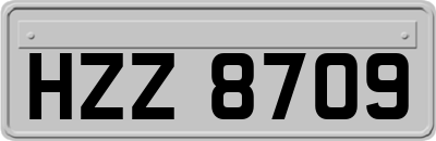 HZZ8709