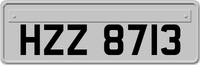 HZZ8713