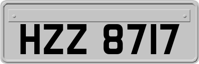 HZZ8717