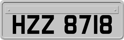 HZZ8718