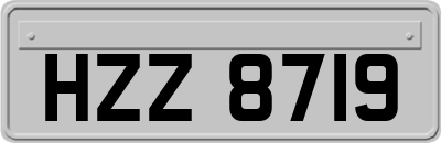 HZZ8719