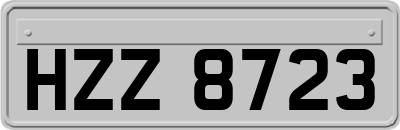 HZZ8723