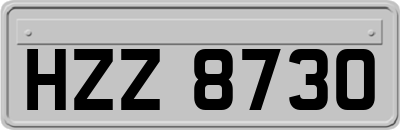 HZZ8730