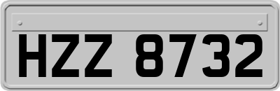 HZZ8732