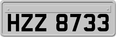 HZZ8733