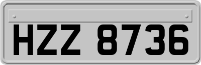 HZZ8736