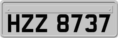 HZZ8737