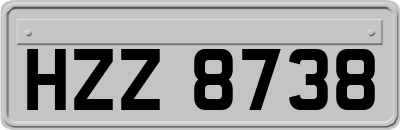 HZZ8738
