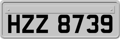 HZZ8739