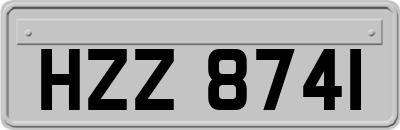 HZZ8741