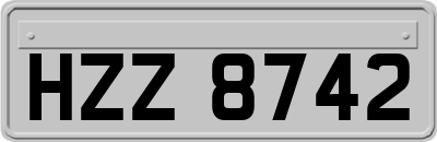 HZZ8742